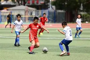 詹姆斯独木,难支,黄蜂逆转湖,爱游戏app,爱游戏官网,爱游戏体育官网,爱游戏体育app